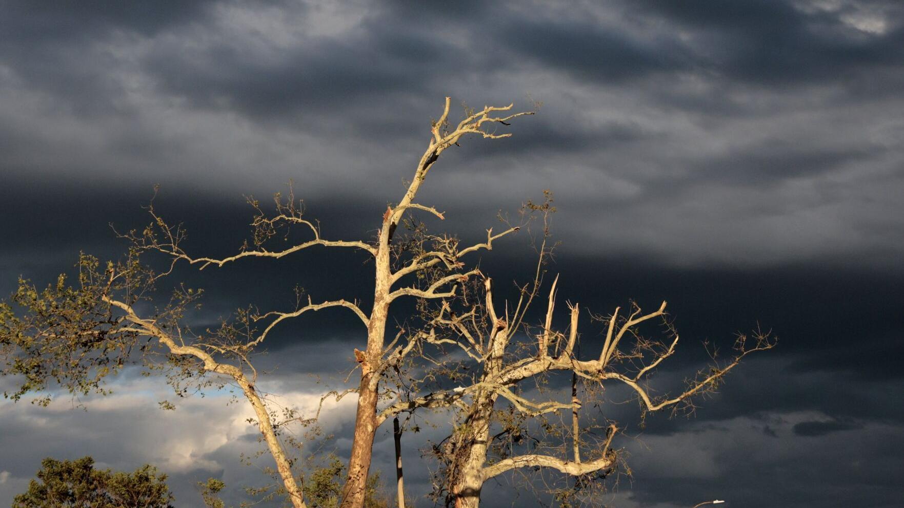 My childhood has roots in north 最新杏吧原创. We can鈥檛 let the tornado steal our memories.